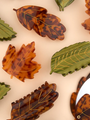 Maple leaf hair clip