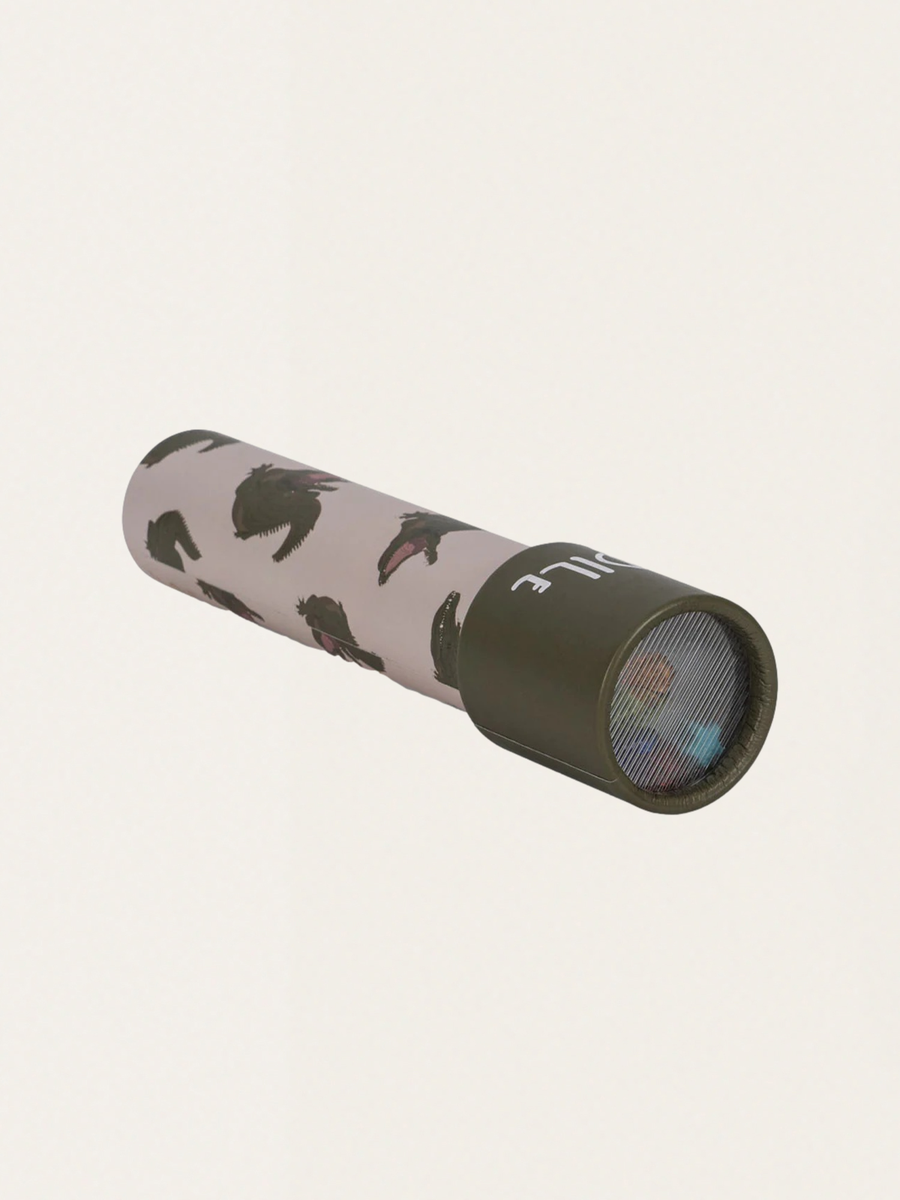 Crocodile Kaleidoscope