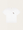 Oversize T-shirt Poodle