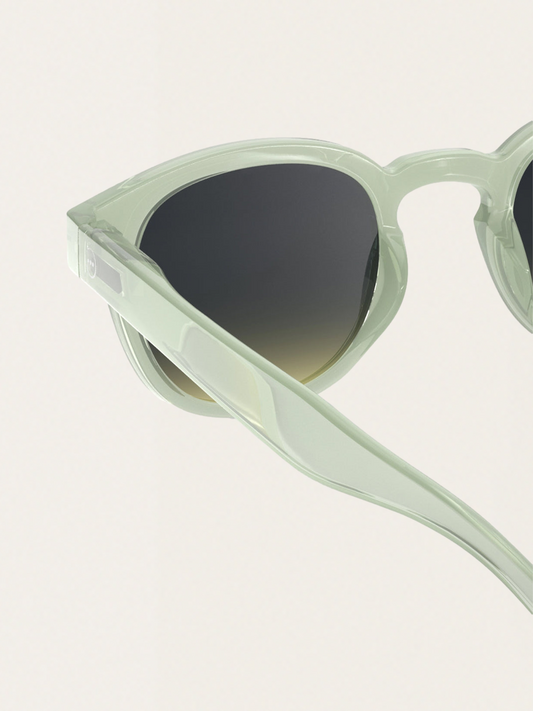 Adult #C Sunglasses 