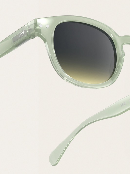 Adult #C Sunglasses 