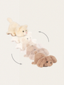 2-in-1 Kuscheltier – Kätzchen und Hund