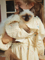 Beeindruckendes Baumwollkleid mit Schleife, Elin
