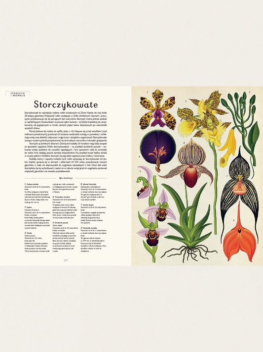 Botanicum
