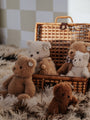 Myrtle, der plappernde Teddybär in einer Box