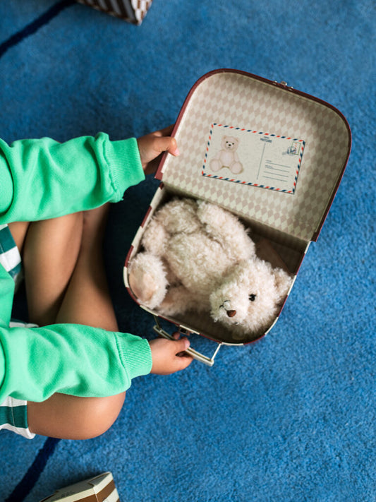 Frederic the Traveler Bear Teddy Bear in a Suitcase