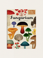 Fungarium Mushroom Museum