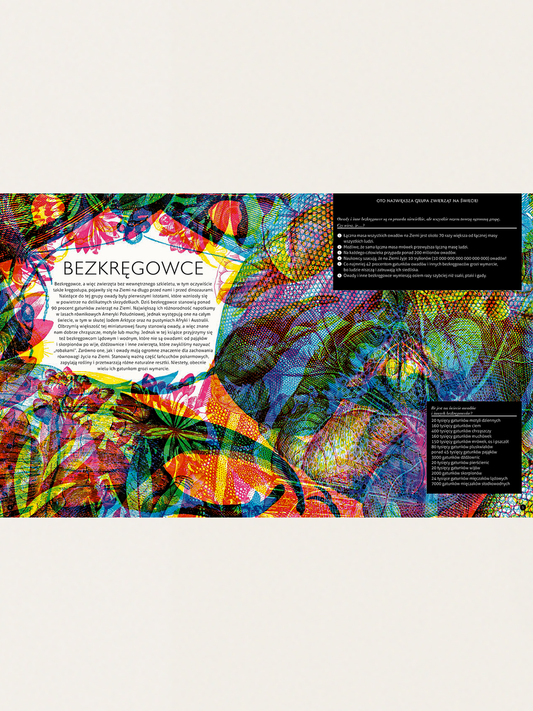 Gabinet owadów  (i innych małych stworzeń)
