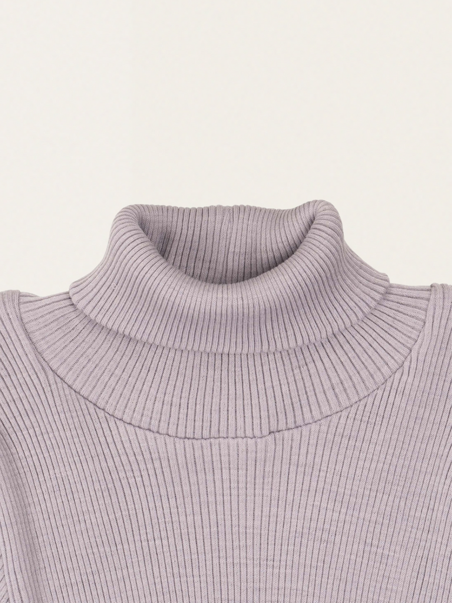 Ice Rose Ribbed Merino Wool Turtleneck