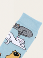 Meow socks