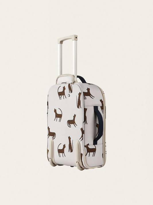 Jeremy's Rolling Suitcase