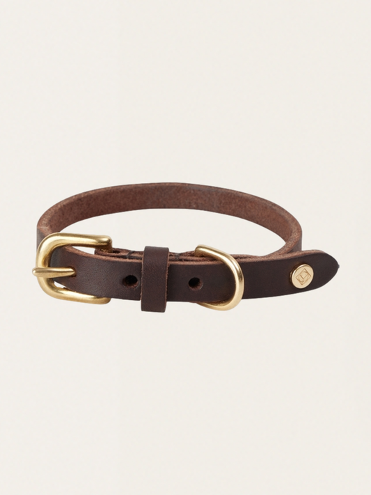 Robin kleines Hundehalsband