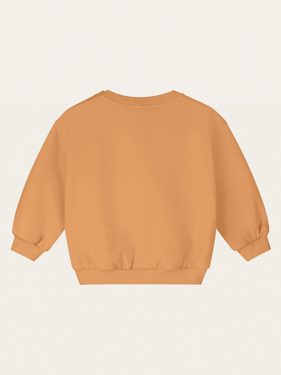 Bluza z bawełny organicznej Baby