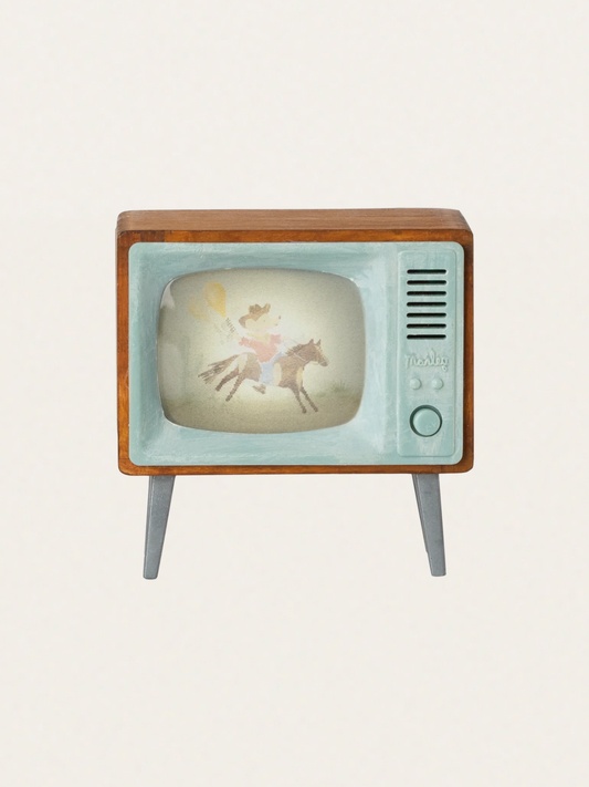 Telewizor do domku myszek