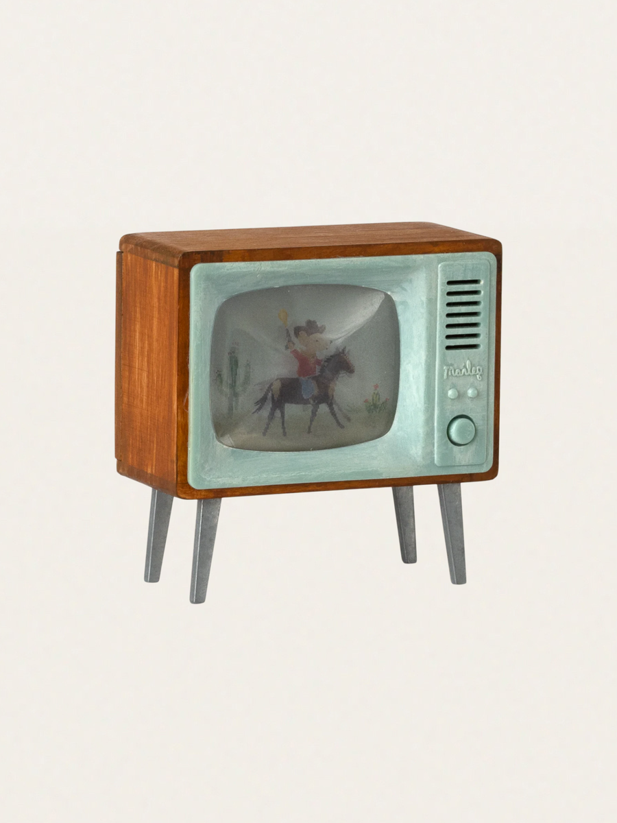 Telewizor do domku myszek
