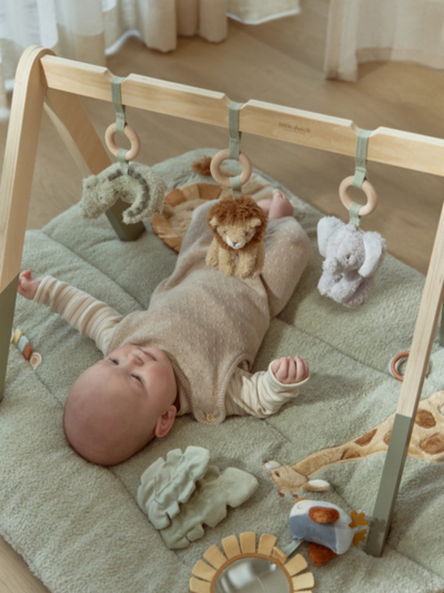 Baby Gym - pałąk z zawieszkami Safari Friends