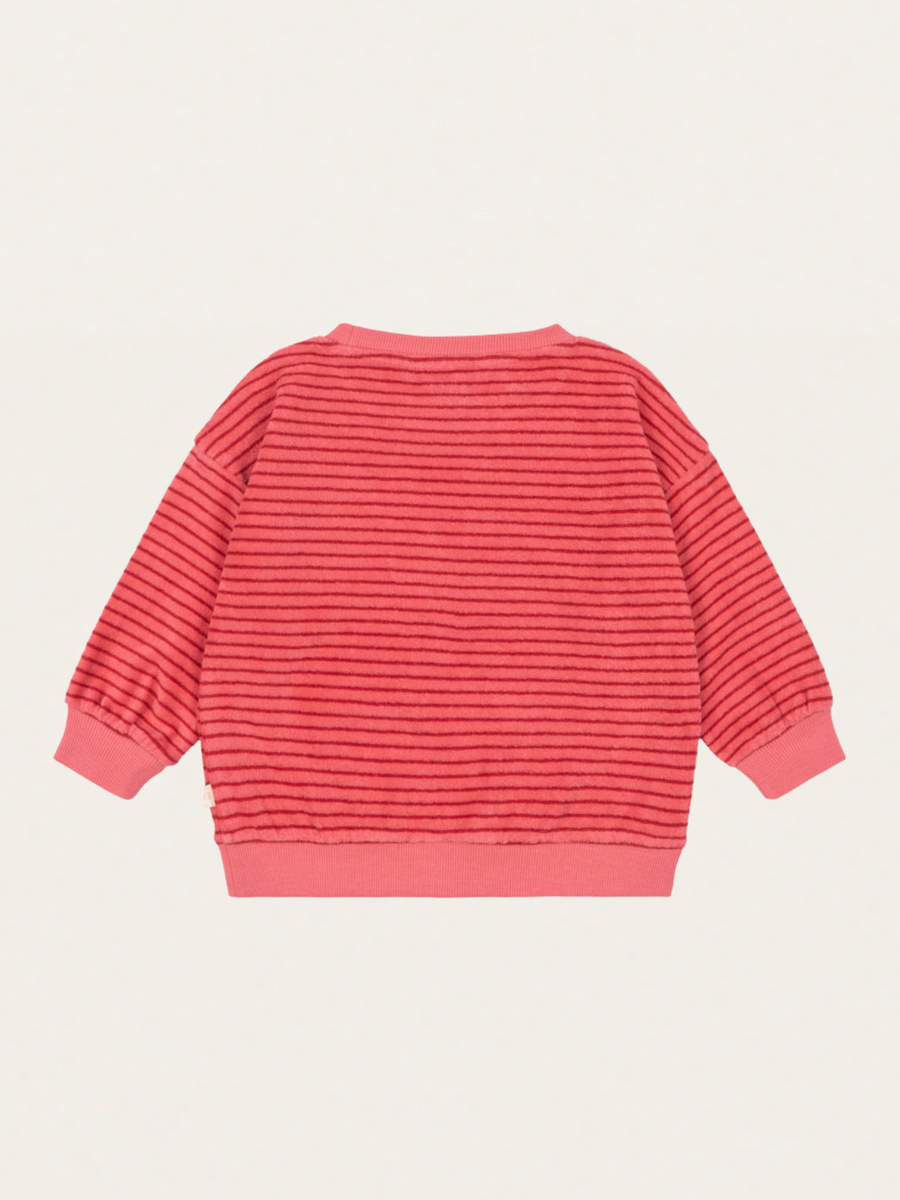 Bluza frotte Itty