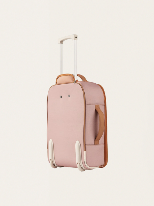 Jeremy's Rolling Suitcase