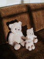 Pluszowy miś w pudełku Walter the Mini Bear